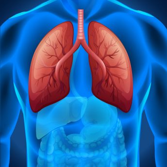 Lung cancer in human illustration